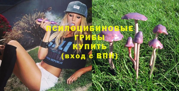 прущий лед Вязьма