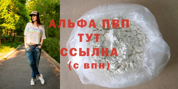 стаф Гусь-Хрустальный